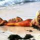 Image for article titled 10 Greatest Science Fiction and Fantasy Romantic Comedies of All Time